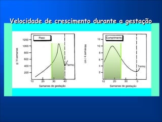Velocidade de crescimento durante a gestação
 