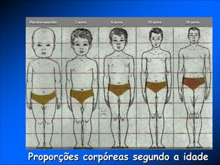 Recém-nascido 2 anos 6 anos 15 anos 20 anos
Proporções corpóreas segundo a idade
 
