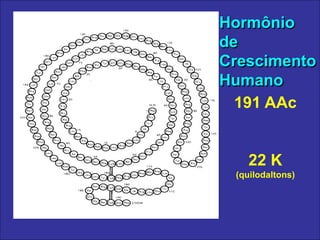 Hormônio
de
Crescimento
Humano
191 AAc
22 K
(quilodaltons)
 