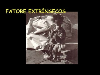 FATORE EXTRÍNSECOS
 