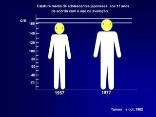 Estatura média de adolescentes japoneses, aos 17 anos
de acordo com o ano de avaliação.
1957 1977
cm
100
80
60
40
20
120
140
160
Tanner e col.,1982
 