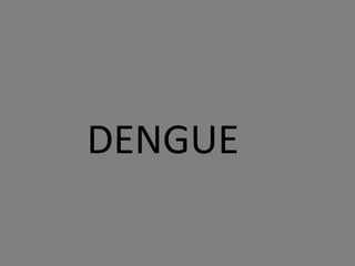 DENGUE
 