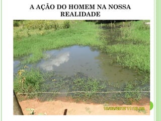 A AÇÃO DO HOMEM NA NOSSA
REALIDADE