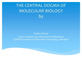 THE CENTRAL DOGMA OF
MOLECULAR BIOLOGY
by
Sadeeq Sheshe
Cancer Genetics Lab, Department of Bioscience,
COMSATS Institute of Information Technology, Islamabad
 