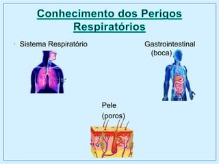 • Sistema Respiratório Gastrointestinal
(boca)
Pele
(poros)
 