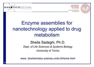 Enzyme assemblies for nanotechnology applied to drug metabolism