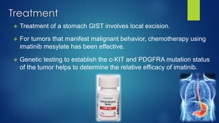 Treatment
✙ Treatment of a stomach GIST involves local excision.
✙ For tumors that manifest malignant behavior, chemotherapy using
imatinib mesylate has been effective.
✙ Genetic testing to establish the c-KIT and PDGFRA mutation status
of the tumor helps to determine the relative efficacy of imatinib.
 