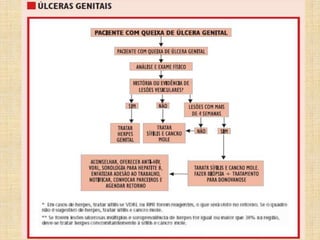 Saúde ginecológica  preparatório 2016 c