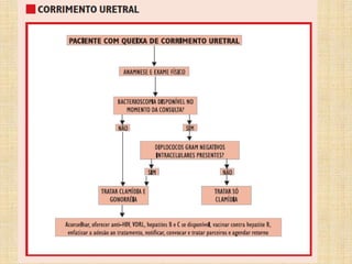 Saúde ginecológica  preparatório 2016 c