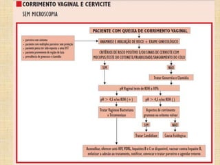 Saúde ginecológica  preparatório 2016 c