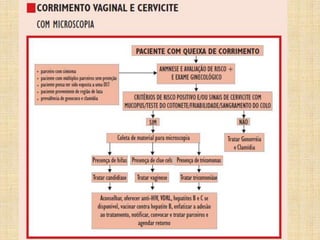 Saúde ginecológica  preparatório 2016 c