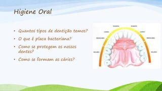 Higiene Oral
• Quantos tipos de dentição temos?
• O que é placa bacteriana?
• Como se protegem os nossos
dentes?
• Como se formam as cáries?
 