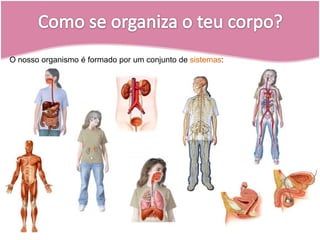 O nosso organismo é formado por um conjunto de sistemas:Como se organiza o teu corpo?