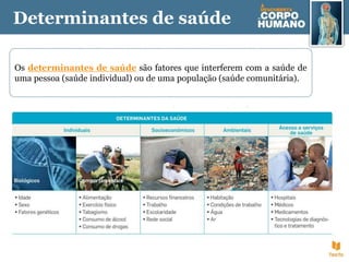 Determinantes de saúde
Os determinantes de saúde são fatores que interferem com a saúde de
uma pessoa (saúde individual) ou de uma população (saúde comunitária).
 