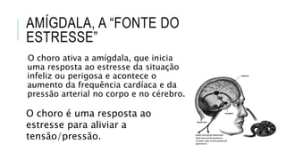 AMÍGDALA, A “FONTE DO
ESTRESSE”
O choro ativa a amígdala, que inicia
uma resposta ao estresse da situação
infeliz ou perigosa e acontece o
aumento da frequência cardíaca e da
pressão arterial no corpo e no cérebro.
O choro é uma resposta ao
estresse para aliviar a
tensão/pressão.
 