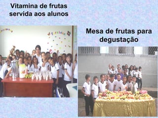 Vitamina de frutas
servida aos alunos
Mesa de frutas para
degustação