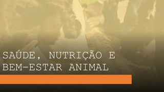 SAÚDE, NUTRIÇÃO E
BEM-ESTAR ANIMAL
 