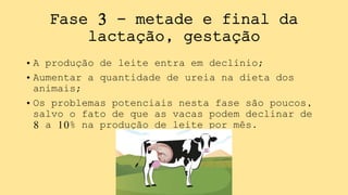 Fase 3 - metade e final da
lactação, gestação
• A produção de leite entra em declínio;
• Aumentar a quantidade de ureia na dieta dos
animais;
• Os problemas potenciais nesta fase são poucos,
salvo o fato de que as vacas podem declinar de
8 a 10% na produção de leite por mês.
 
