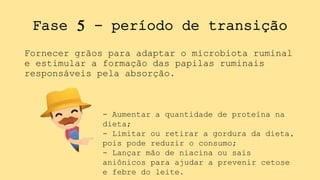 Fase 5 - período de transição
Fornecer grãos para adaptar o microbiota ruminal
e estimular a formação das papilas ruminais
responsáveis pela absorção.
- Aumentar a quantidade de proteína na
dieta;
- Limitar ou retirar a gordura da dieta,
pois pode reduzir o consumo;
- Lançar mão de niacina ou sais
aniônicos para ajudar a prevenir cetose
e febre do leite.
 