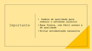 Importante
• Sombra de qualidade para
reduzir o estresse calórico
• Água fresca, com fácil acesso e
de qualidade
• Evitar movimentação excessiva
 