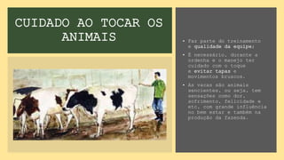 CUIDADO AO TOCAR OS
ANIMAIS • Faz parte do treinamento
e qualidade da equipe;
• É necessário, durante a
ordenha e o manejo ter
cuidado com o toque
e evitar tapas e
movimentos bruscos.
• As vacas são animais
sencientes, ou seja, tem
sensações como dor,
sofrimento, felicidade e
etc, com grande influência
no bem estar e também na
produção da fazenda.
 