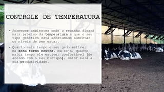 CONTROLE DE TEMPERATURA
• Fornecer ambientes onde o rebanho ficará
mais próximo da temperatura a que o seu
tipo genético está acostumado aumentar
os níveis de bem estar.
• Quanto mais tempo o seu gado estiver
na zona termo neutra, ou seja, quanto
maior tempo ele estiver confortável (de
acordo com o seu biotipo), maior será a
sua produtividade.
 