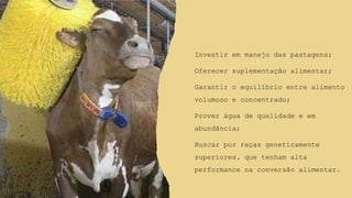 Investir em manejo das pastagens;
Oferecer suplementação alimentar;
Garantir o equilíbrio entre alimento
volumoso e concentrado;
Prover água de qualidade e em
abundância;
Buscar por raças geneticamente
superiores, que tenham alta
performance na conversão alimentar.
 