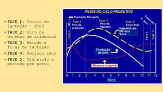• FASE 1: Inicio de
lactação – PICO
• FASE 2: Pico de
consumo de alimentos
• FASE 3: Metade e
final de lactação
• FASE 4: Período seco
• FASE 5: Transição e
período pré parto
 