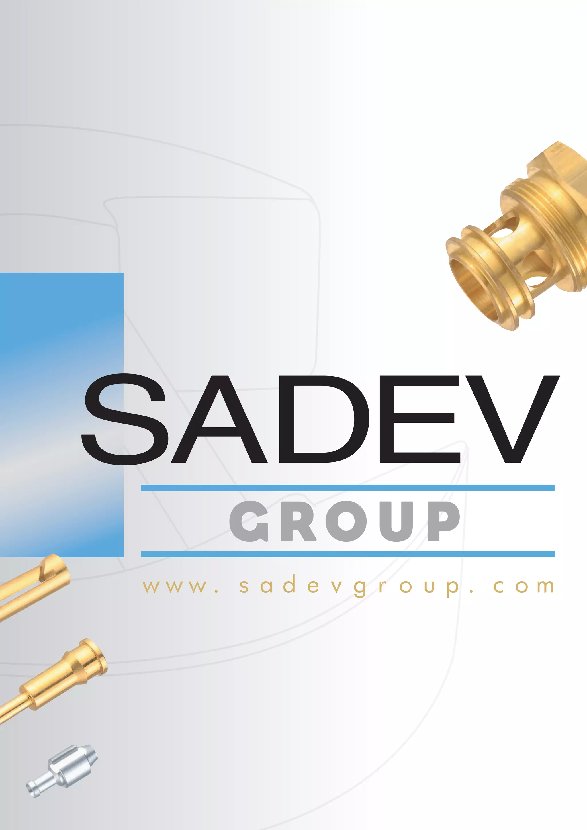 www.sadevgroup.com
 