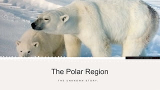 The Polar Region
T H E U N K N O W N S T O R Y .
This Photo by Unknown author is licensed under CC BY-SA.
 