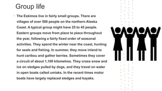 Group life
• The Eskimos live in fairly small groups. There are
villages of over 500 people on the northern Alaska
Coast. A typical group might have 25 to 45 people.
Eastern groups move from place to place throughout
the year, following a fairly fixed order of seasonal
activities. They spend the winter near the coast, hunting
for seals and fishing. In summer, they move inland to
hunt caribou and gather berries. Sometimes they cover
a circuit of about 1,100 kilometres. They cross snow and
ice on sledges pulled by dogs, and they travel on water
in open boats called umiaks. In the recent times motor
boats have largely replaced sledges and kayaks.
 