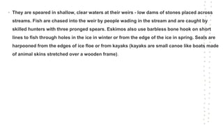 • They are speared in shallow, clear waters at their weirs - low dams of stones placed across
streams. Fish are chased into the weir by people wading in the stream and are caught by
skilled hunters with three pronged spears. Eskimos also use barbless bone hook on short
lines to fish through holes in the ice in winter or from the edge of the ice in spring. Seals are
harpooned from the edges of ice floe or from kayaks (kayaks are small canoe like boats made
of animal skins stretched over a wooden frame).
 
