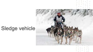 Sledge vehicle
 