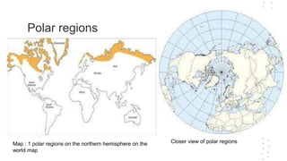 Polar regions
Map : 1 polar regions on the northern hemisphere on the
world map
Closer view of polar regions
 