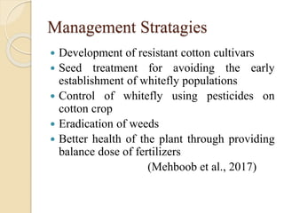 Diseases of Cotton | PPTX