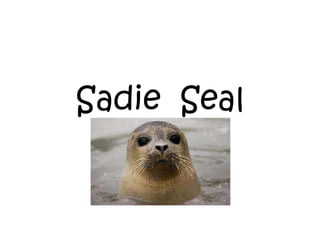 Sadie Seal
 