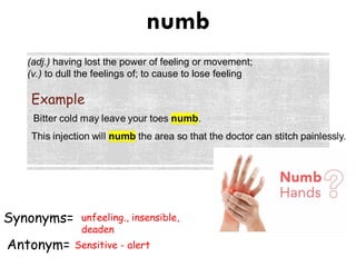 Sadlier unit 5set B.ppt vocabulary sadlier | PPT