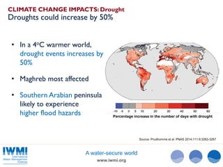 Understanding and Addressing Climate and Water Risks in the Middle East ...