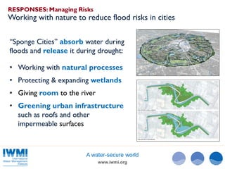 Understanding and Addressing Climate and Water Risks in the Middle East ...