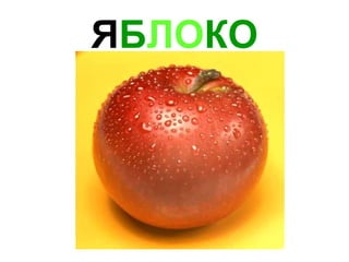 Я Б ЛО КО 