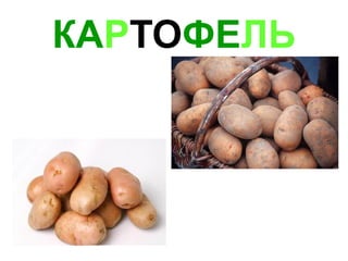 КА Р ТО ФЕ ЛЬ 