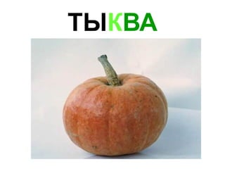 ТЫ К ВА 