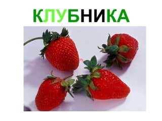 К ЛУ Б НИ КА 