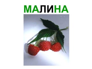 МА ЛИ НА 