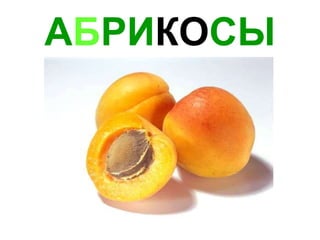А Б РИ КО СЫ 