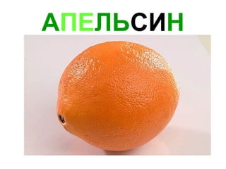 А ПЕ ЛЬ СИ Н 