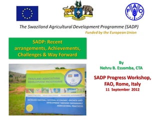 SADP: Recent
arrangements, Achievements,
 Challenges & Way Forward
                                          By
                                Nehru B. Essomba, CTA

                              SADP Progress Workshop,
                                 FAO, Rome, Italy
                                  11 September 2012
 