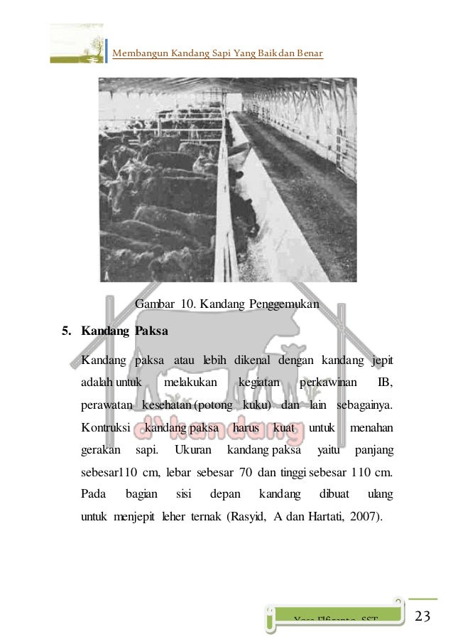 Saduran membangun kandang sapi yang baik dan benar