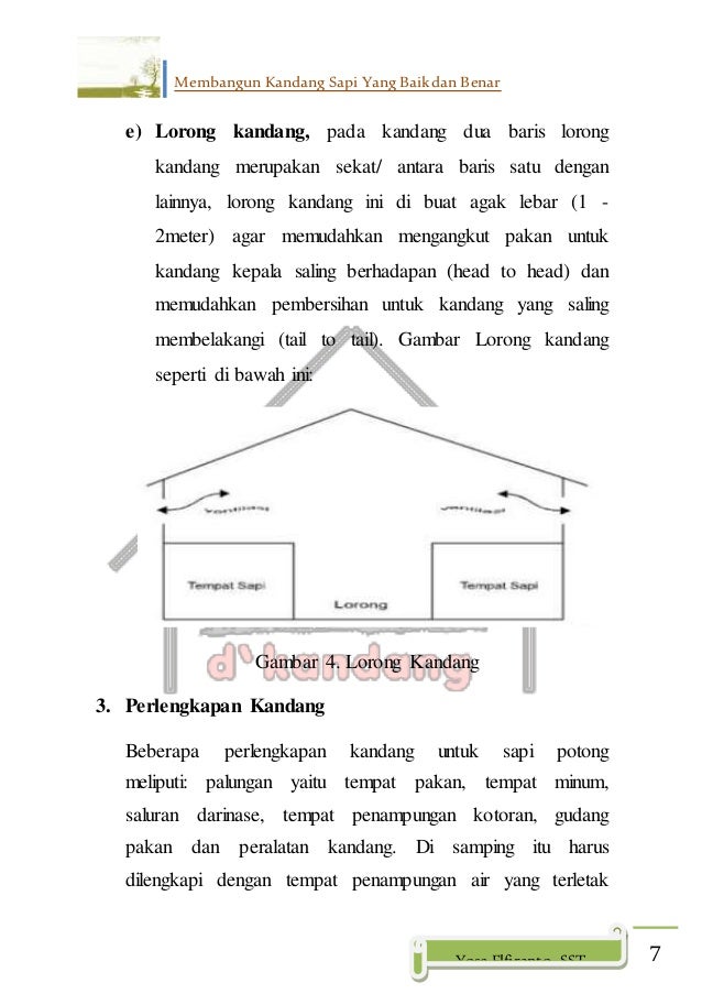 Saduran Membangun Kandang Sapi Yang Baik Dan Benar
