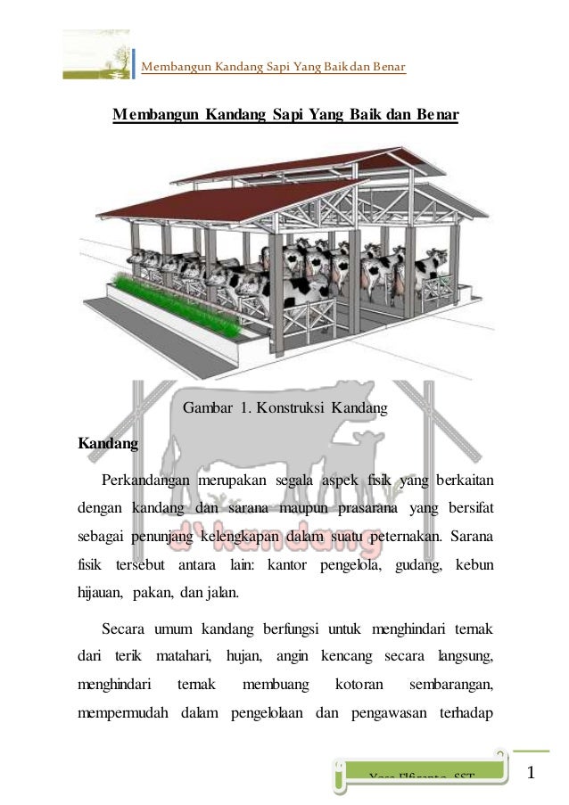 Saduran Membangun Kandang Sapi Yang Baik Dan Benar